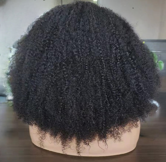 Premium Afro Curly Wigs